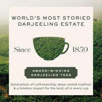 Makaibari - Award Winning Darjeeling Estate