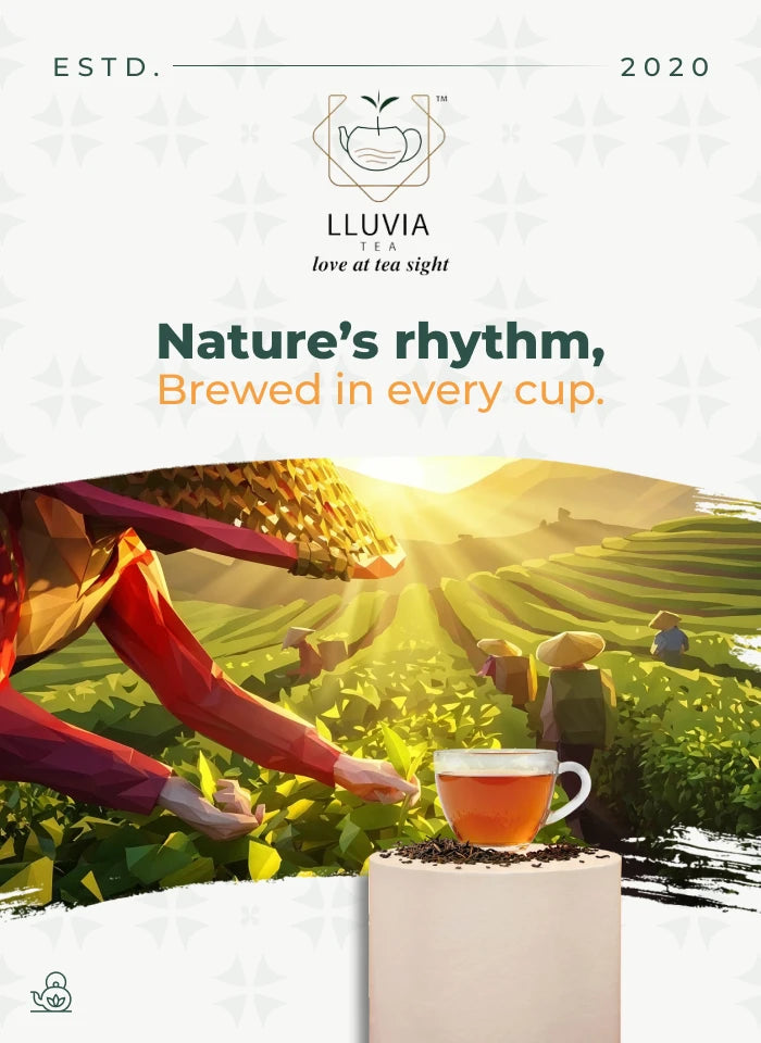 LLuvia Tea- Nature's rhythm, Brewed in every cup