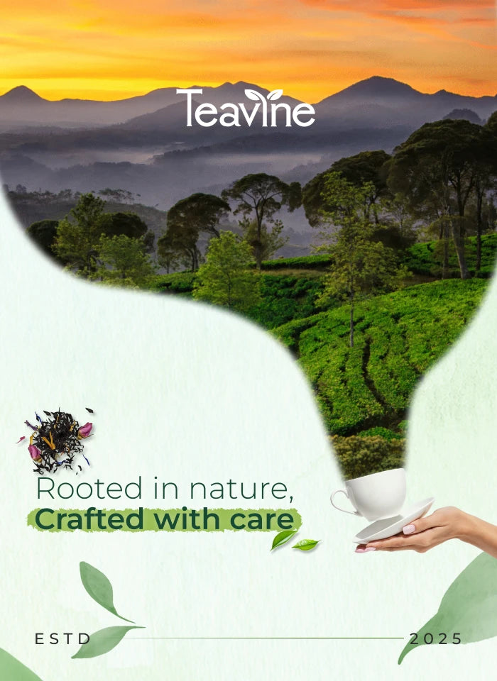 Teavine- Rooted in nature, crafted with care