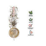 Nueranya White Tea