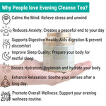 Oh Cha Evening Cleanse Tea Benefits
