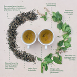 Oh Cha Fresh Tulsi Infusion