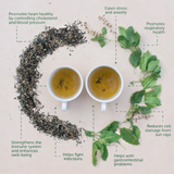 Oh Cha Fresh Tulsi Infusion
