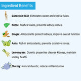 Oh Cha Kidney Support Infusion Tea Benefits