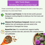 Oh Cha Liver Cleanse Tea Information Chart