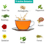 Oh Cha Afternoon Boost Green Tea with Peppermint, Nettle and Rose