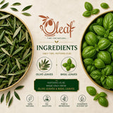 Oleaf Herbal Olive Leaf and Basil Infusion Bags