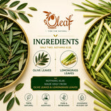 Oleaf Herbal Olive Leaf and Lemongrass Infusion Bags
