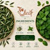 Oleaf Herbal Olive Leaf and Mint Infusion for Refreshing and Soothing Experience - Bags