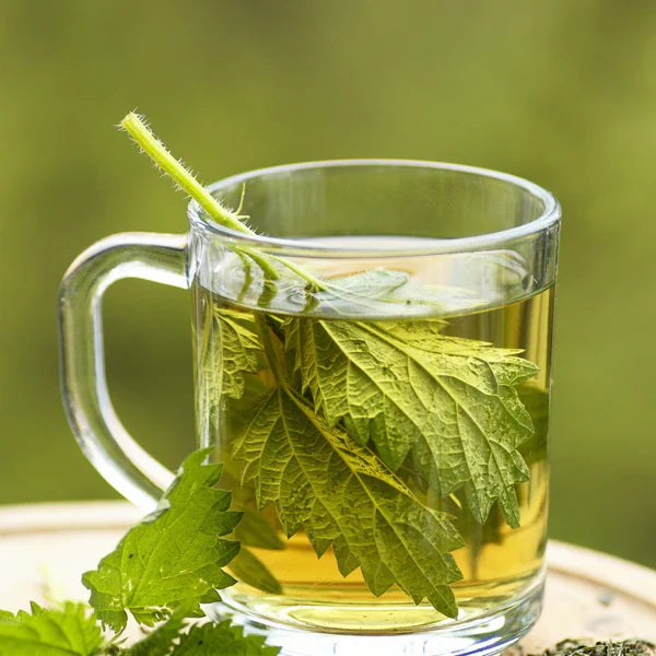 Pahari Haat Himalayan Nettle Leaves Tea