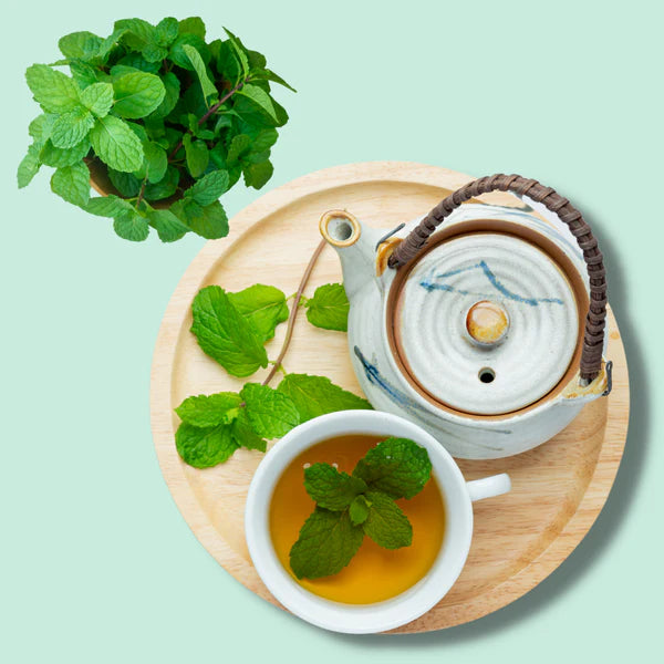 Pahari Haat Himalayan Peppermint Tea