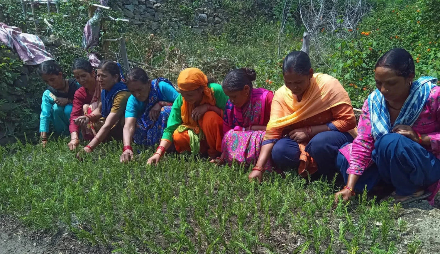 Pahari Haat Local Women