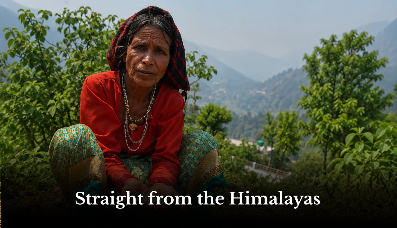 Pahari Haat- Straight from the Himalayas