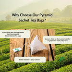 Pembroke Mint Medley Pyramid Sachet Tea Bags