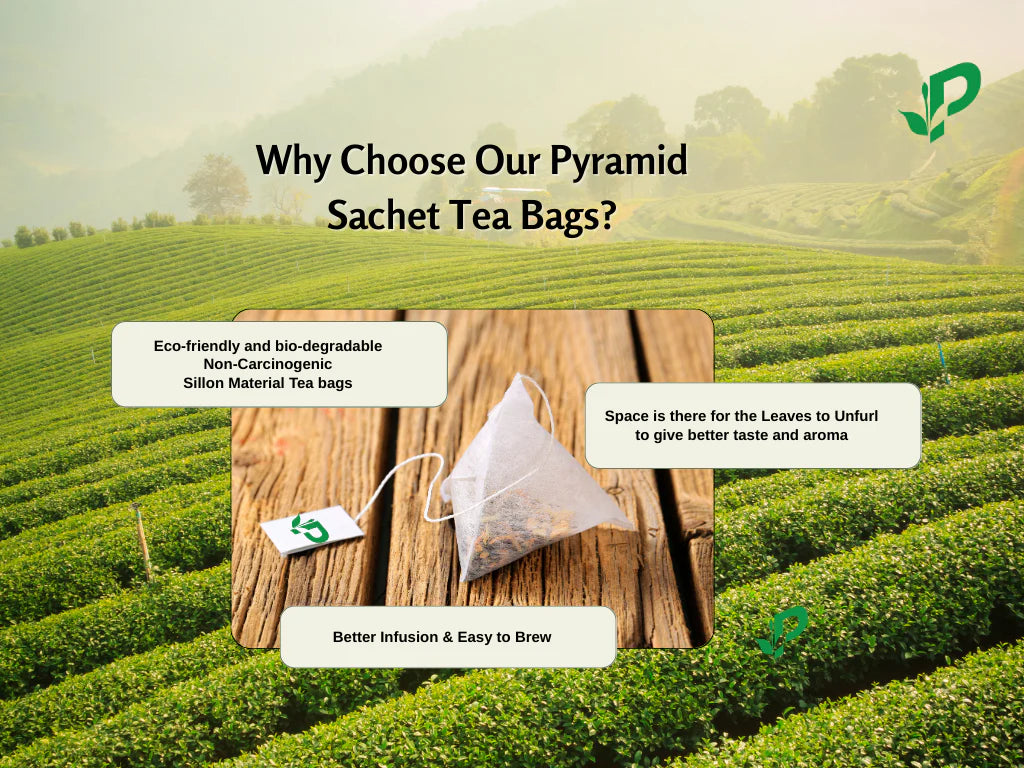 Pembroke Mint Medley Pyramid Sachet Tea Bags