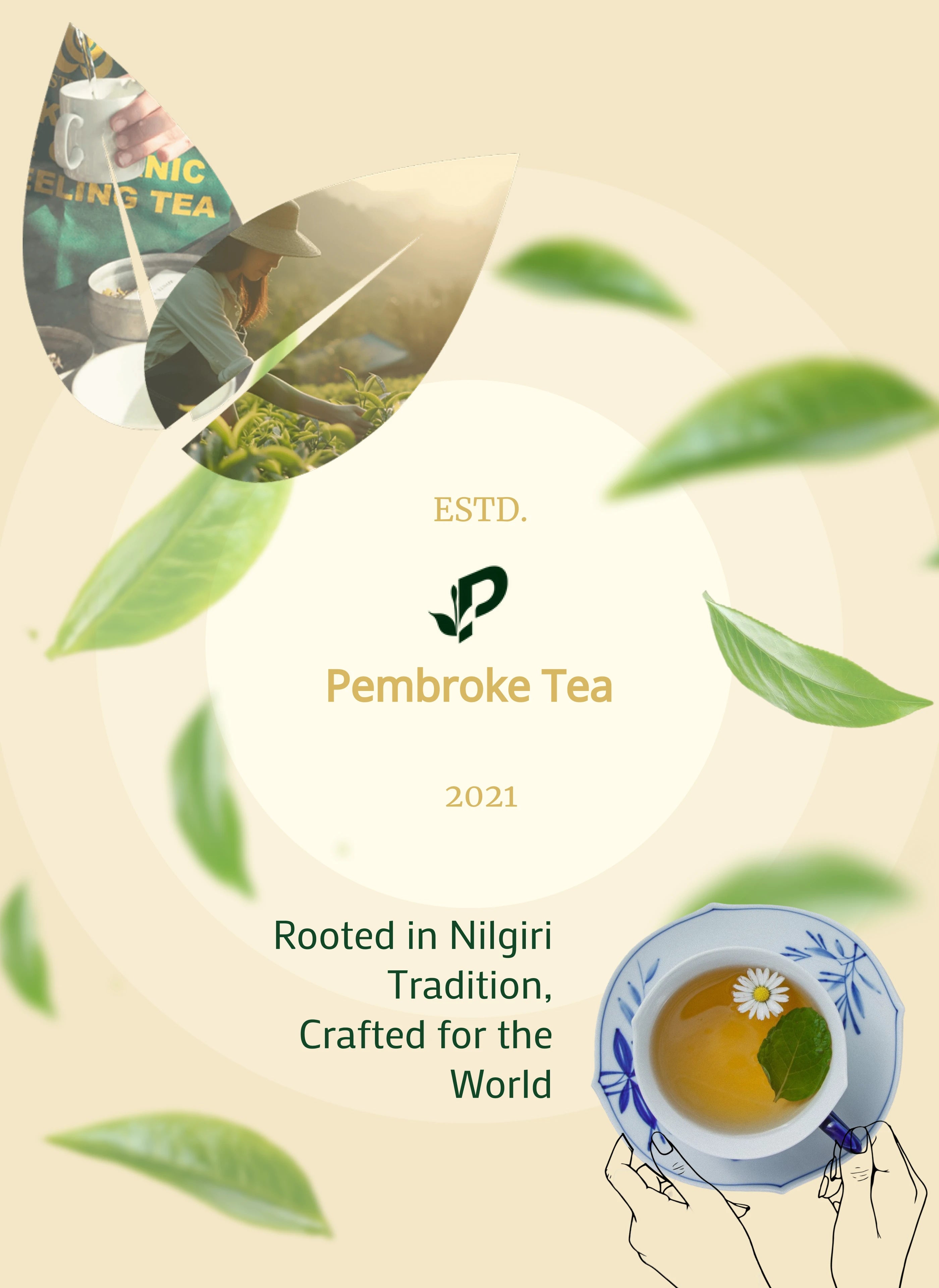 Pembroke Tea Rooted in Nilgiri Heritage