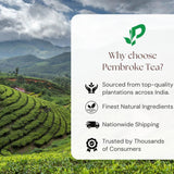 Pembroke Skin Glow Wellness Tea Collection – 7 Tea Blends with Flowers, Fruits & Spices - Pyramid Tea Bags