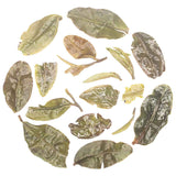 Darjeeling Rare Series First Flush Peppery White from Rohini Tea Estates
