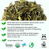 Pisces Organic Darjeeling White Leaf Tea - A Thoughtful Zodiac Tea Gift for Healers