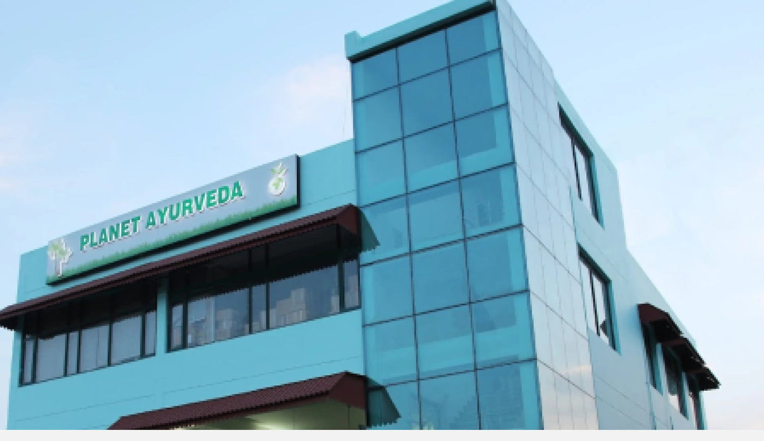 Planet Ayurveda
