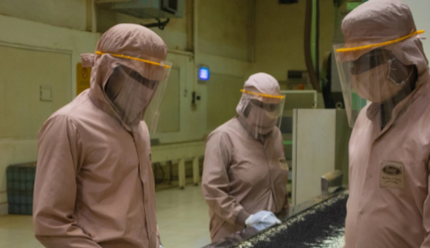 Premier's Tea Processing