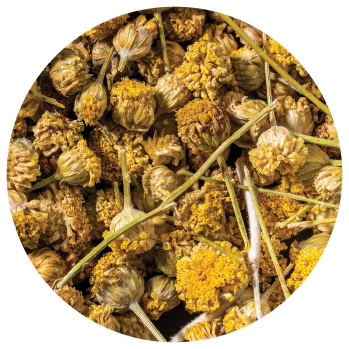 Pure Chamomile Florets