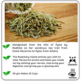 REVVS UP METABOLISM Rosemary Blend Organic Black Tea - A Refreshing Herbal Tea