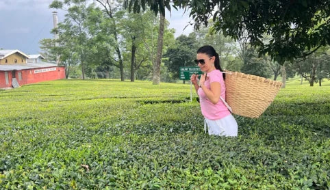 Raipur Tea Estate