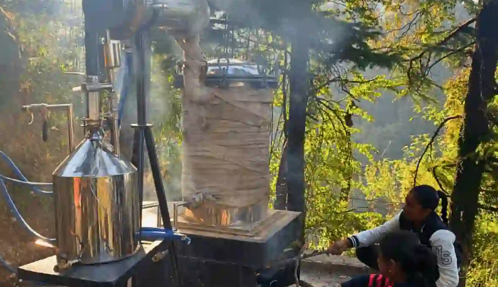 Refining Machine for Herbal Teas