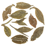 Rohini Darjeeling Autumn Flush Oriental Oolong – Winter Frosted Harvest