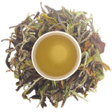Rohini Darjeeling Autumn Flush Baozhong Creamy Oolong Tea – Crafted from AV2 Clones