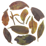 Rohini Darjeeling Autumn Flush Baozhong Creamy Oolong Tea – Crafted from AV2 Clones