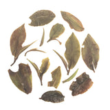 Rohini Darjeeling Autumn Flush Handcrafted Frosted Autumn White Tea – Made from AV2 Bushes