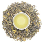 Rohini Darjeeling Autumn Flush Vintage Yabukita Tea Crafted from Japanese Yabukita Clones