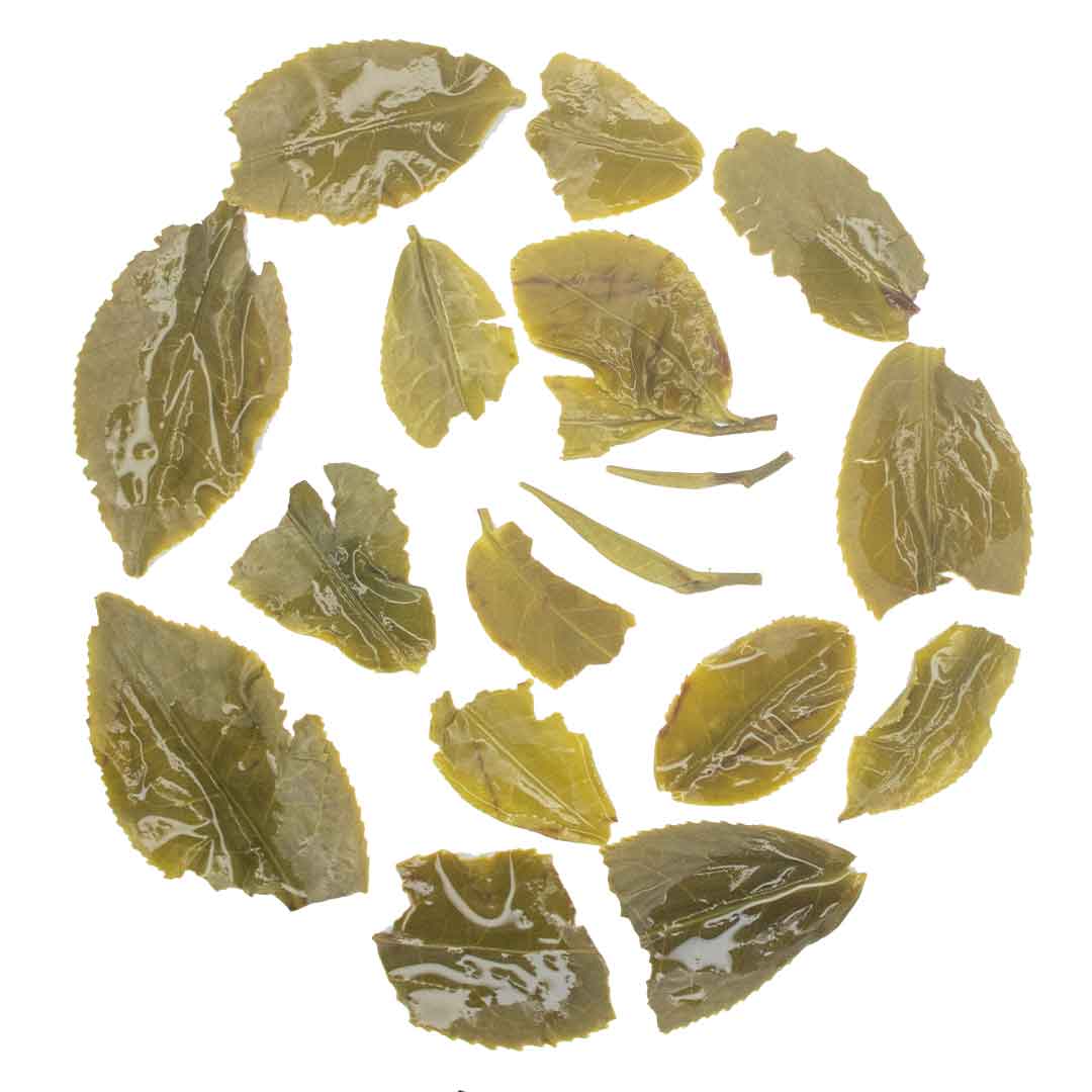 Rohini Darjeeling Autumn Flush Vintage Yabukita Green Tea Infusions
