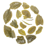 Rohini Darjeeling Autumn Flush Vintage Yabukita Green Tea Infusions