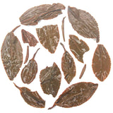 Rohini Darjeeling Classic Autumn Flush Yabukita Black Tea Crafted from Japanese Yabukita Clones