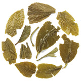 Rohini Darjeeling Rare Yabukita Autumn Green Tea Crafted From Japanese Yabukita Clone