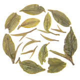 Rohini Darjeeling Spring White Tea – Royal First Flush