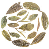 Rohini Darjeeling Summer Classic Honey Oolong Tea – Bug Bitten Whole Leaf Tea