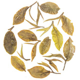 Rohini First Flush Nectar of Darjeeling Tea - Honey Oolong & Spring Flavour - Crafted from AV2 Bushes
