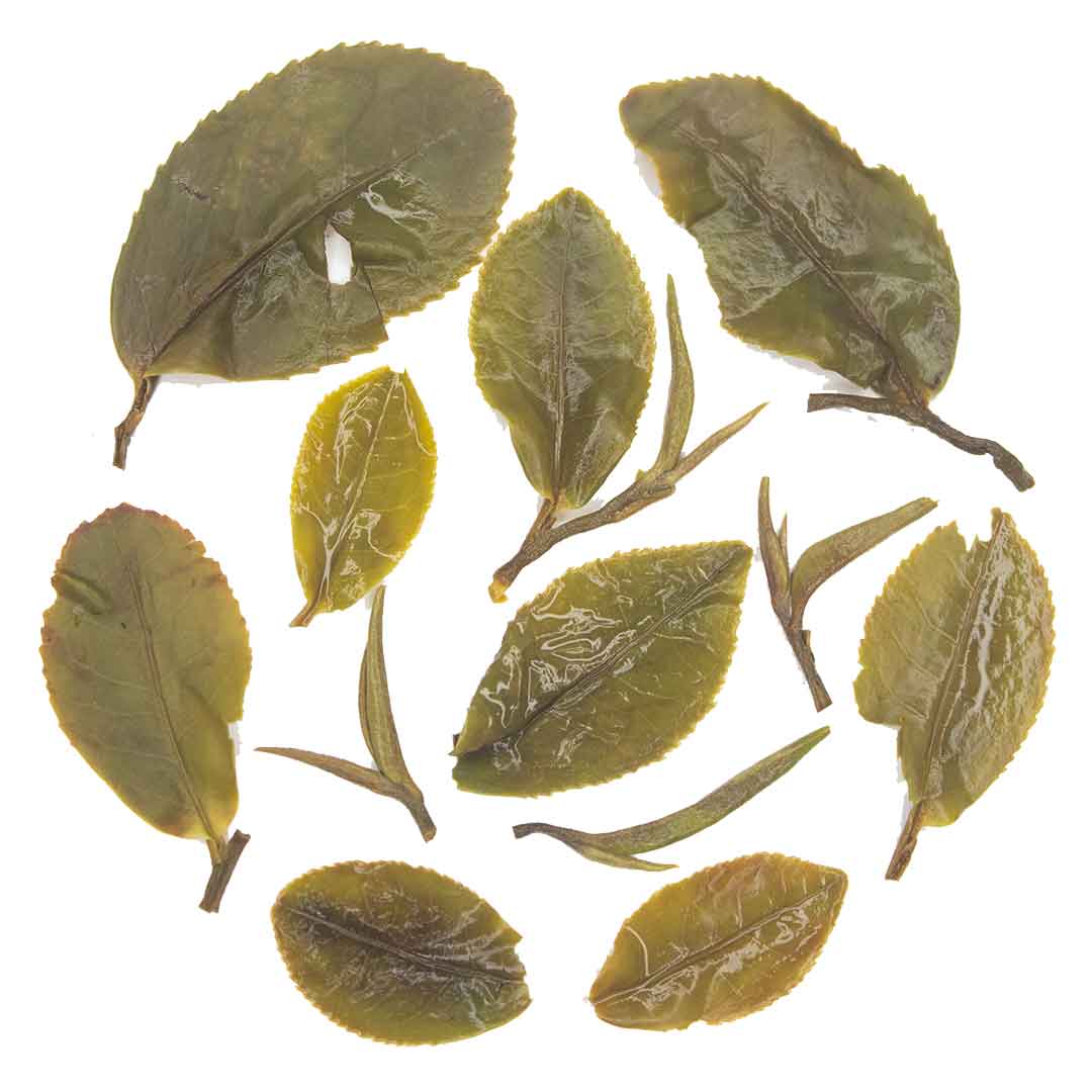 Spring Blossom First Flush Darjeeling Tea