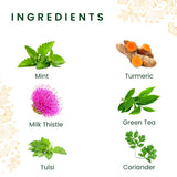 Roshi Detox Moroccan Mint Tulsi Green Tea for Cleansing and Fresh Balance- Pack of 2