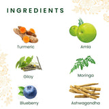 Roshi ImmuniCare Turmeric Amla Green Tea for Natural Defense and Daily Strength- Pack of 2