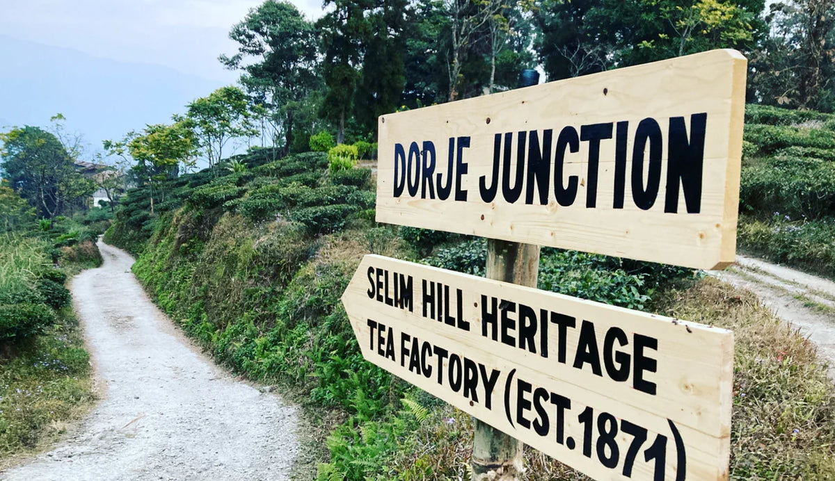 Selim Hill Heritage Tea Factory