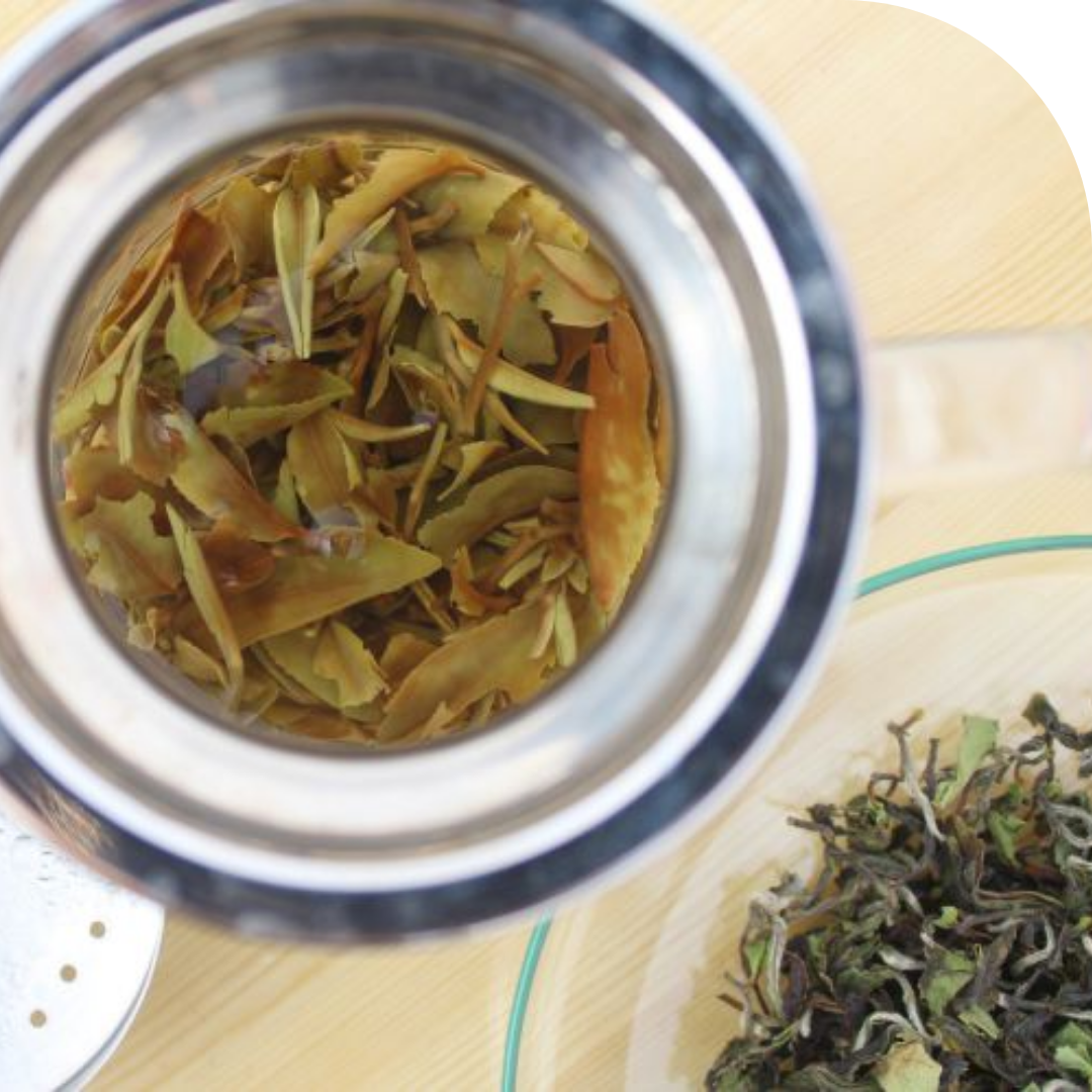 TWS Darjeeling First Flush Spring Oolong Tea