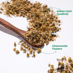 Tea Trunk Chamomile Mint Herbal Caffeine‑Free Infusion