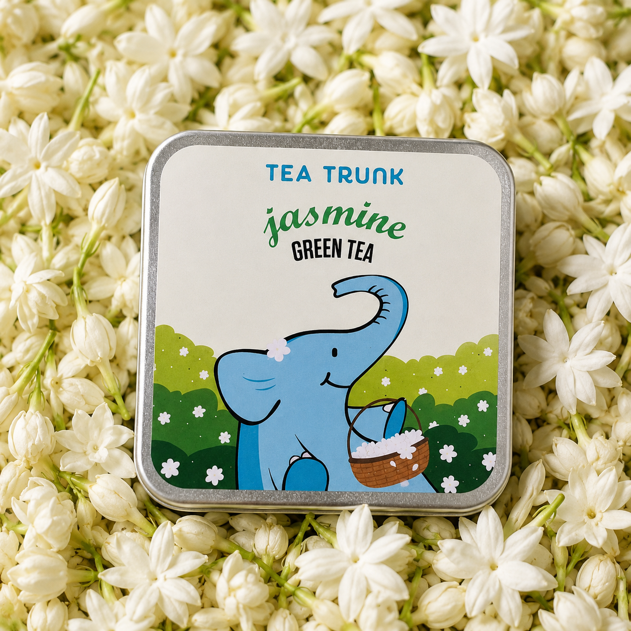 Tea Trunk Jasmine Green Tea