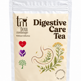 Tea Melange Digestive Care Green Tea with Ginger, Amla, Fennel and Cumin Seeds