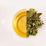 Tea Melange Green Exotica Premium Green Tea with Minty and Gingery Notes for Rejuvenation and Natural Upliftment - Tea Bags